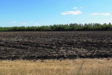 Фермеру станет проще решить земельный вопрос